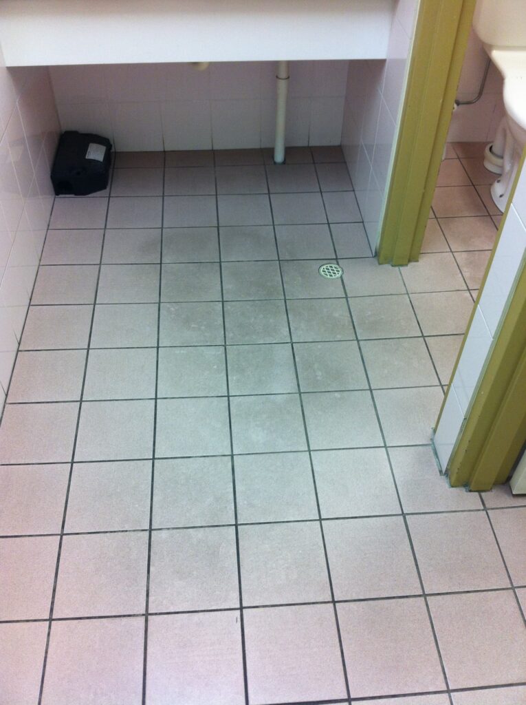 Wavell Heights Shopping Centre - Bathroom Before Scrubbing