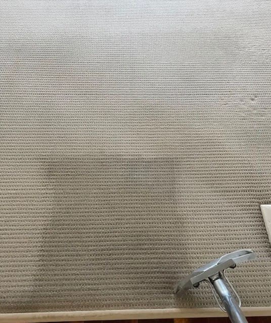 Spot test of a carpet cleaning machine showing the difference between washed and unwashed carpet