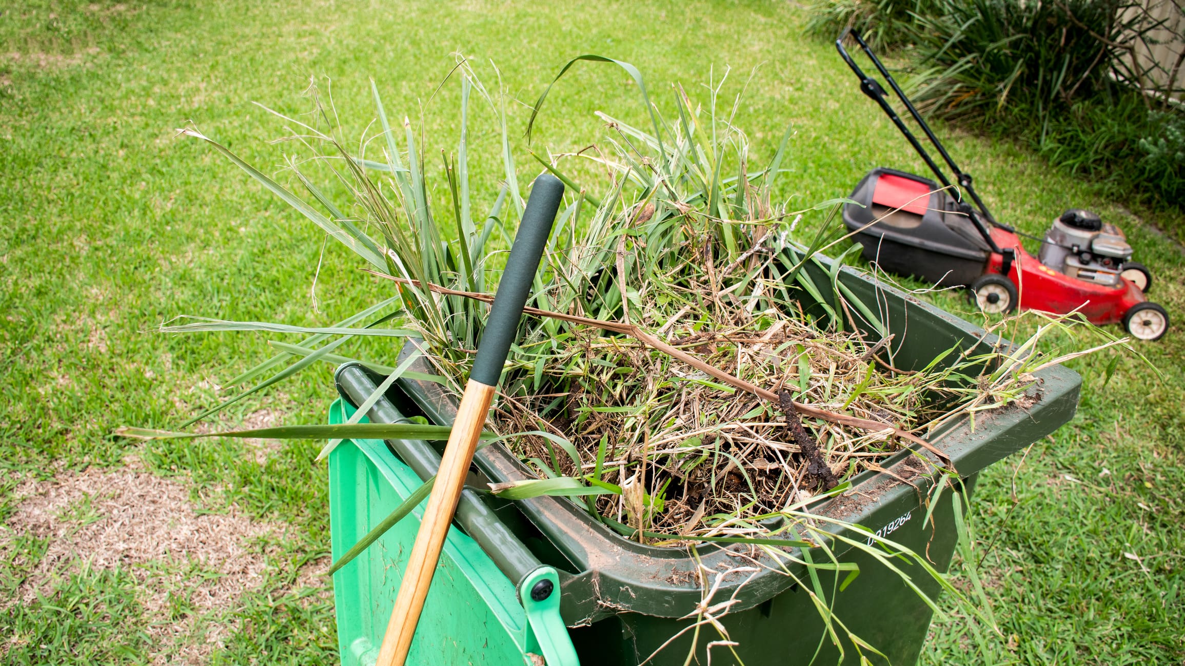 Green bin container filled with garden waste