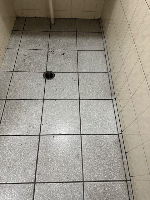 Geebung Bathroom Scrubbing Job