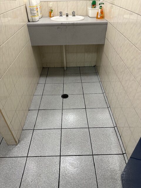 Geebung Bathroom Scrubbing Job