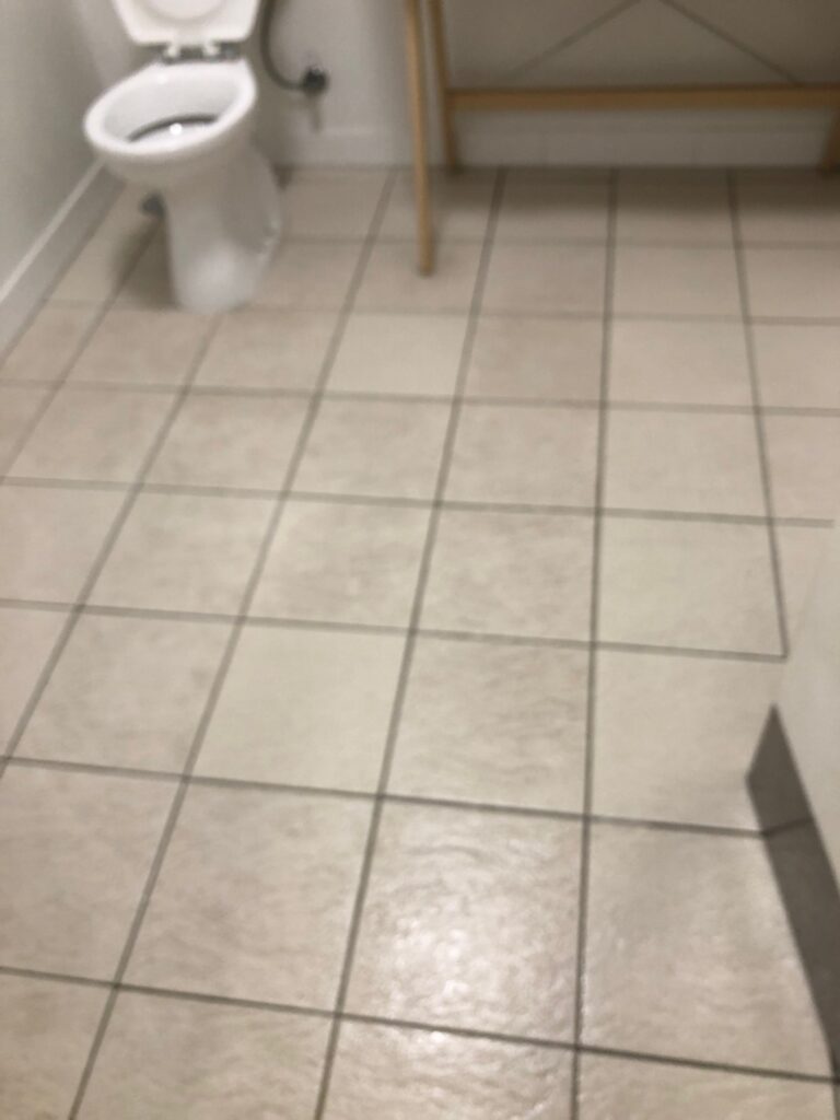Eagle Farm Commercial Building - Bathroom Cleaning