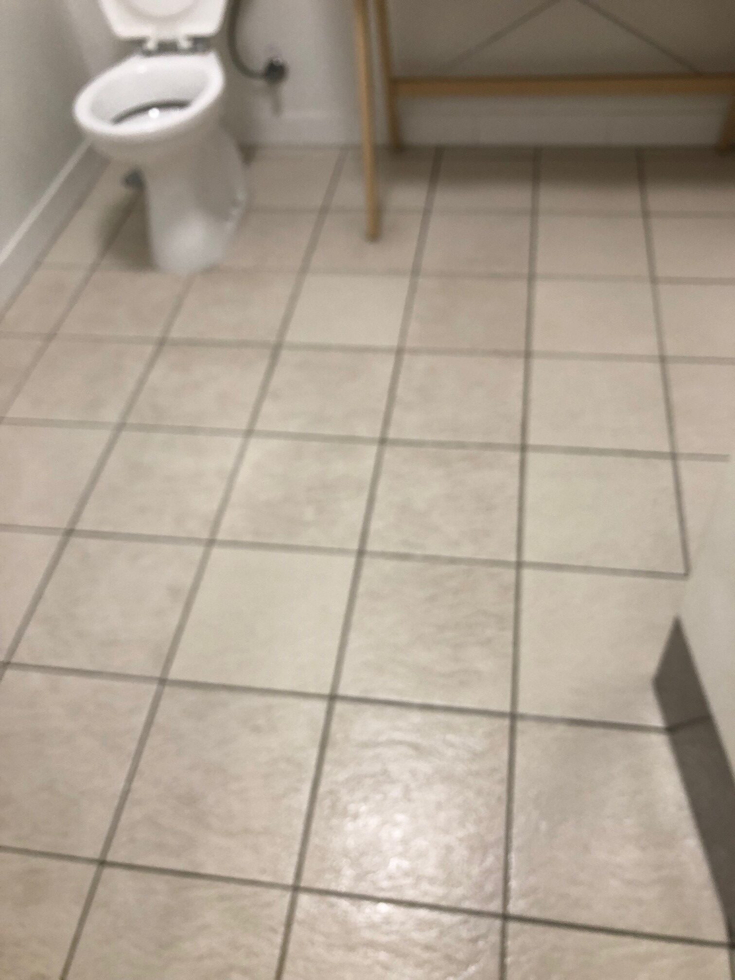 Eagle Farm Commercial Building - Bathroom Cleaning
